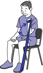 肘関節の運動